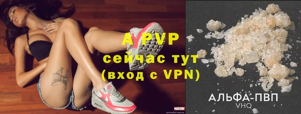 стафф Аркадак