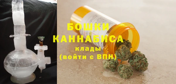 PSILOCYBIN Арсеньев