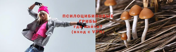 стафф Аркадак