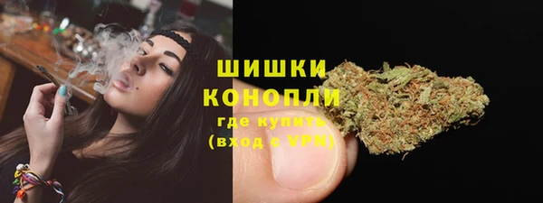 шишки Армянск