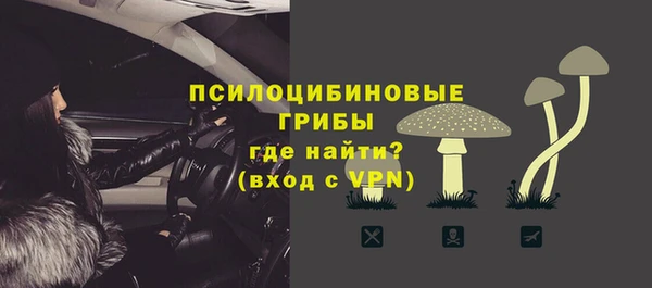 стафф Аркадак