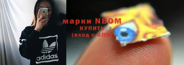 шишки Армянск