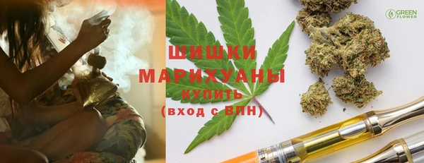 мдпв Гусев