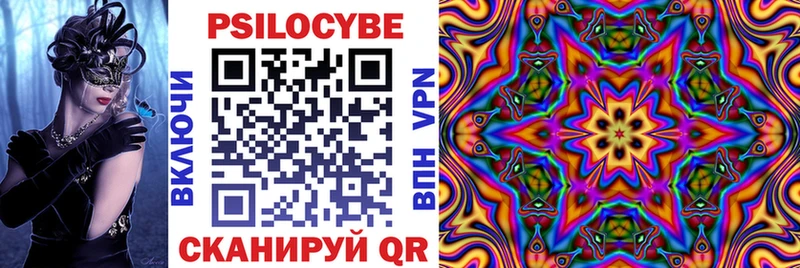 OMG онион  Ясногорск  Галлюциногенные грибы Cubensis 